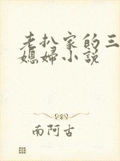 老扒家的三个儿媳妇小说