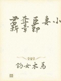 君夺臣妻小说最新章节