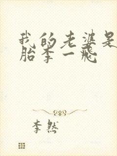 我的老婆是双胞胎李一飞