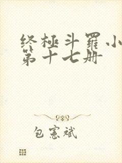 终极斗罗小书屋第十七册