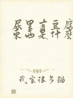 尿里有豆腐渣的东西是什么情况