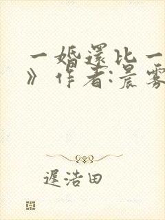 一婚还比一婚高》作者:晨雾的光