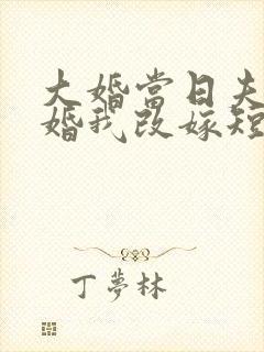 大婚当日夫君逃婚我改嫁短剧