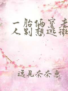 一胎俩宝老婆大人别想逃微澜子墨