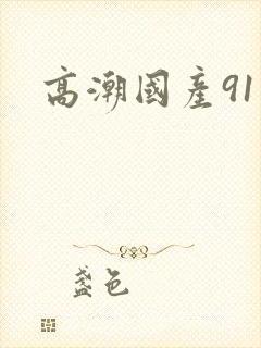 高潮国产91