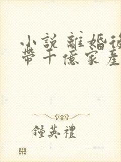 小说 离婚后我带千亿家产杀回来了