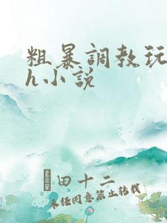 粗暴调教玩弄高h小说