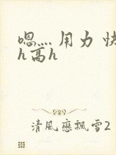 嗯…用力 快 h高h