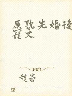 原耽先婚后爱甜宠文