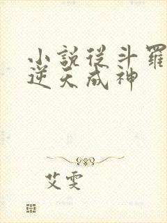 小说从斗罗开始逆天成神