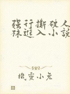 强行撕破人妻丝袜进入小说