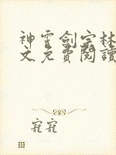 神霄剑宗林枫全文免费阅读