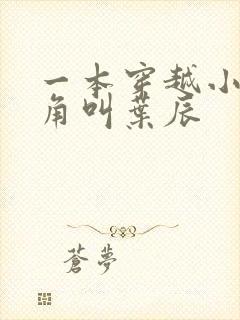 一本穿越小说主角叫叶辰