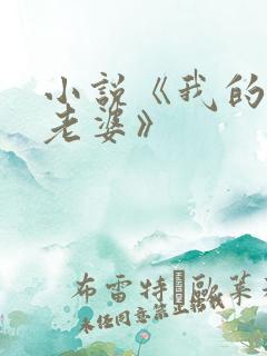 小说《我的空姐老婆》