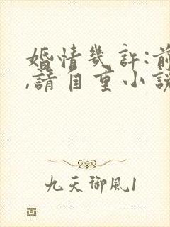 婚情几许:前夫,请自重小说
