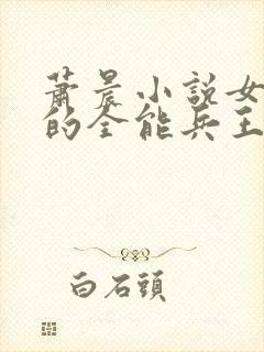 萧晨小说女总裁的全能兵王