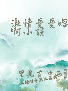 激情爱爱嗯嗯啊啊小说