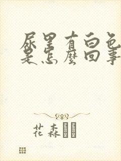 尿里有白色泡沫是怎么回事