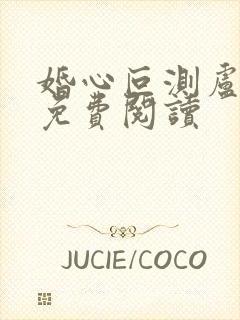 婚心叵测卢丹妮免费阅读