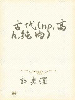 古代(np,高h,纯肉)
