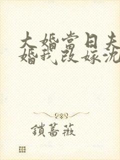 大婚当日夫君逃婚我改嫁沈淮之