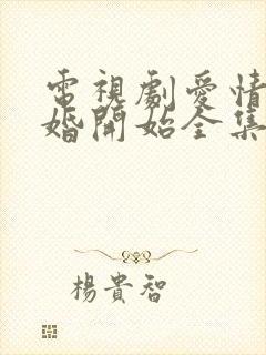 电视剧爱情从结婚开始全集播放免费观看