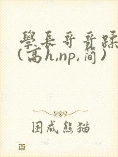 学长哥哥蹂躏你(高h,np,简)