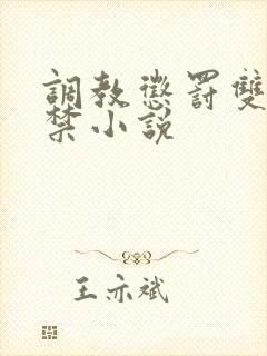 调教惩罚双性失禁小说