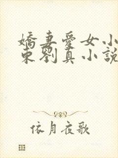 娇妻爱女小可于东刘真小说