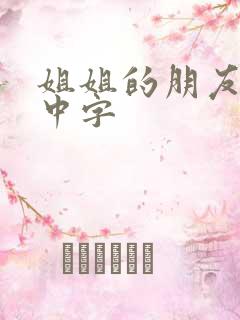 姐姐的朋友hd中字