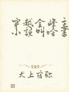 穿越金峰主角的小说叫啥书名