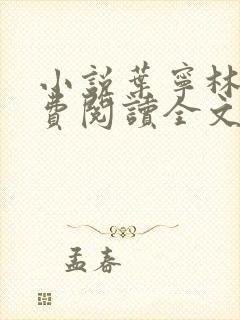 小说叶宁林雪免费阅读全文最新