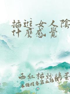 插进女人阴道是什么感觉