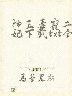 神王毒宠二嫁王妃下载txt全集