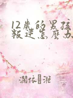 12岁的男孩子叛逆怎么办