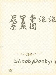 尿里带泡泡是什么原因