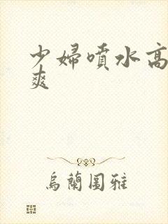 少妇喷水高潮好爽