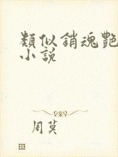 类似销魂艳婢的小说