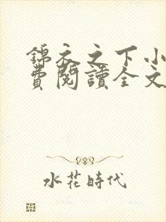 锦衣之下小说免费阅读全文无删减