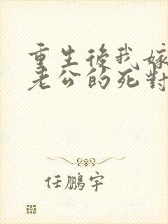 重生后我嫁给了老公的死对头 短剧