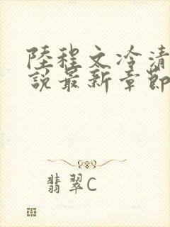 陆程文冷清秋小说最新章节