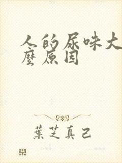 人的尿味大是什么原因