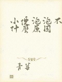 小便泡泡不散是什么原因