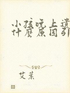 小孩晚上遗尿是什么原因引起的