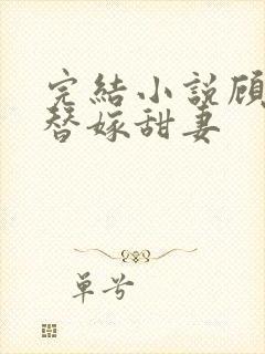 完结小说顾少的替嫁甜妻