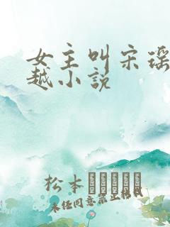 女主叫宋瑶的穿越小说