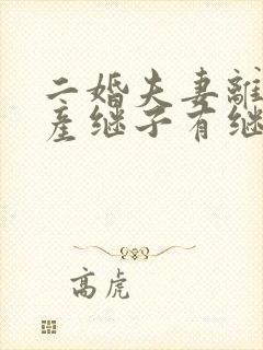 二婚夫妻离婚财产继子有继承权吗