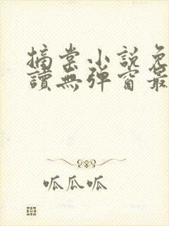 摘棠小说免费阅读无弹窗最新章节