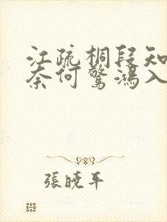 江疏桐段知许《奈何惊鸿入我心》