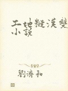 工地糙汉双男主小说